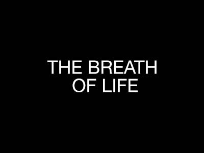 THE BREATH OF LIFE